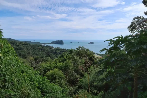 26198144_10155929301154471_3421057952542960951_o.webp 26198144_10155929301154471_3421057952542960951_o.webp