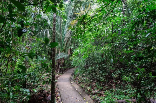 26758132_10155952881499471_4026074498602608675_o.webp 26758132_10155952881499471_4026074498602608675_o.webp