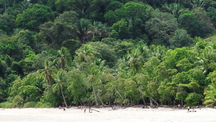 26756303_10155952881154471_7139828259332455534_o.webp 26756303_10155952881154471_7139828259332455534_o.webp