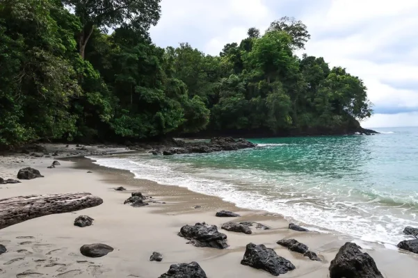 26240496_10155952880624471_8769677112964978767_o.webp 26240496_10155952880624471_8769677112964978767_o.webp