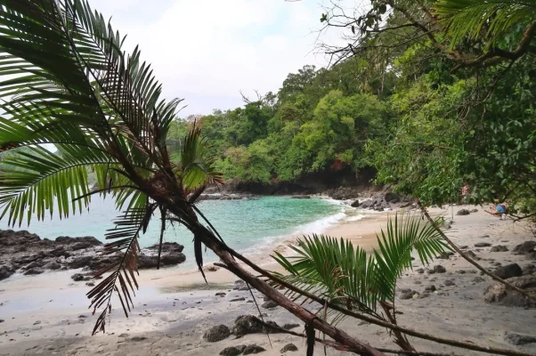 26686022_10155944148894471_8037822179311900699_o (1).webp 26686022_10155944148894471_8037822179311900699_o (1).webp