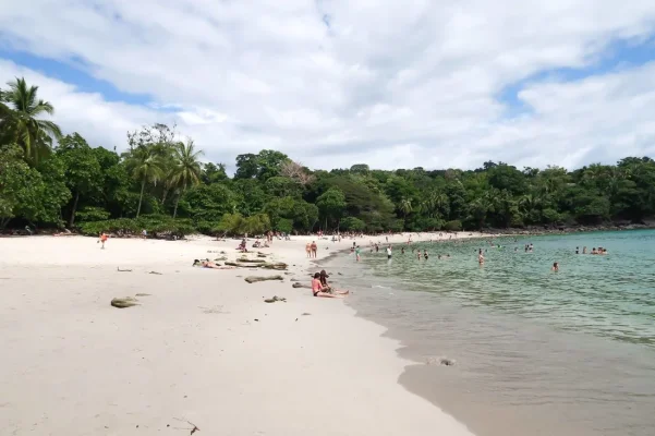 26685544_10155952880034471_530952785673022220_o (1).webp 26685544_10155952880034471_530952785673022220_o (1).webp