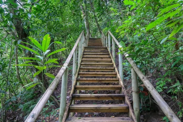 26678461_10155952881424471_4761551296604879518_o.webp 26678461_10155952881424471_4761551296604879518_o.webp