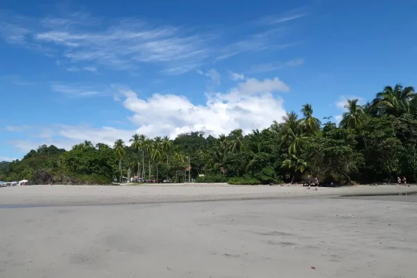 26910539_10155952880449471_1701437158649348099_o.webp 26910539_10155952880449471_1701437158649348099_o.webp