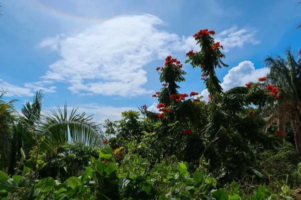 26757225_10155952880869471_3980659128648724414_o.webp 26757225_10155952880869471_3980659128648724414_o.webp