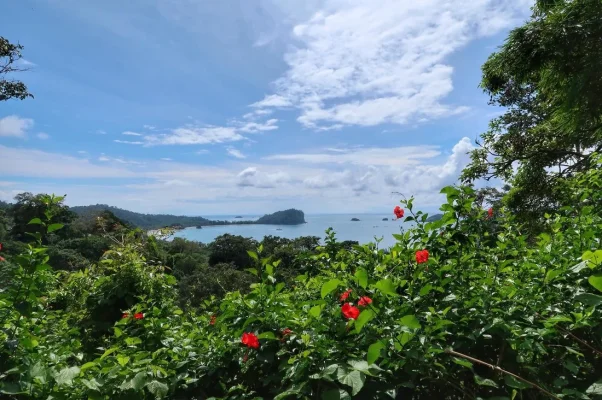 26685669_10155940281339471_8754996314580999963_o.webp 26685669_10155940281339471_8754996314580999963_o.webp