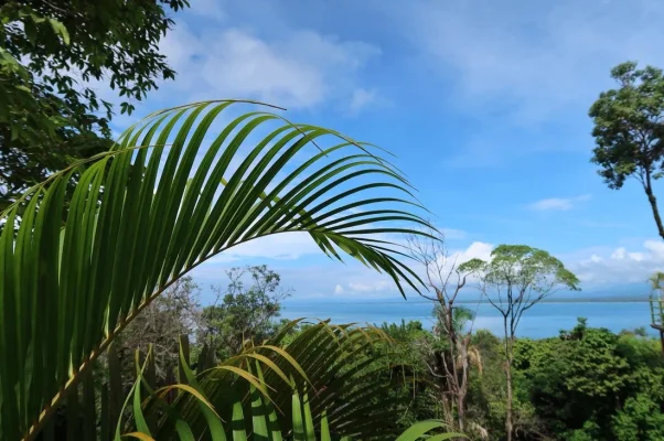 26233830_10155940281439471_5773867008848410212_o.webp 26233830_10155940281439471_5773867008848410212_o.webp