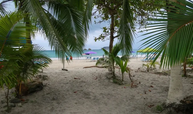 26240220_10155952880974471_7760192749865578553_o.webp 26240220_10155952880974471_7760192749865578553_o.webp