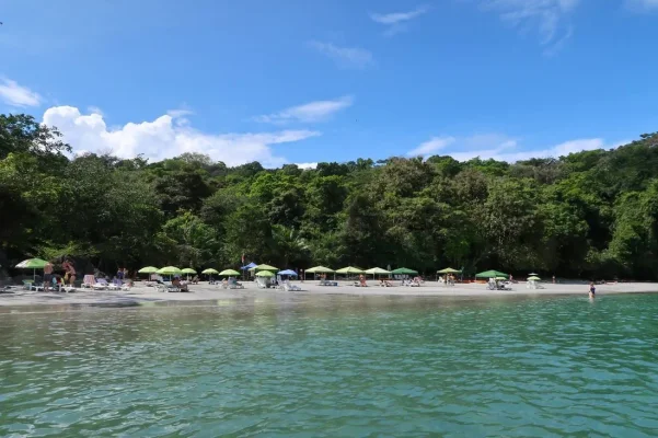 26685138_10155952880504471_6546890566967262140_o.webp 26685138_10155952880504471_6546890566967262140_o.webp