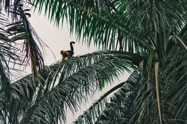 26220831_10155932321639471_4291798502408254925_o.webp 26220831_10155932321639471_4291798502408254925_o.webp