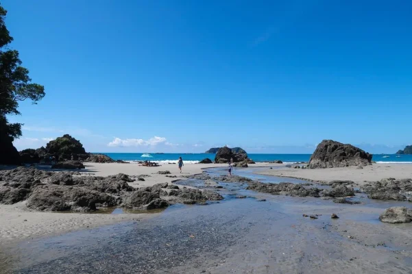 26678329_10155952880739471_3758504947126026236_o.webp 26678329_10155952880739471_3758504947126026236_o.webp