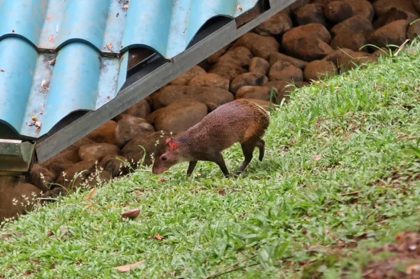 26240035_10155932268354471_8197945618396252174_o.webp 26240035_10155932268354471_8197945618396252174_o.webp