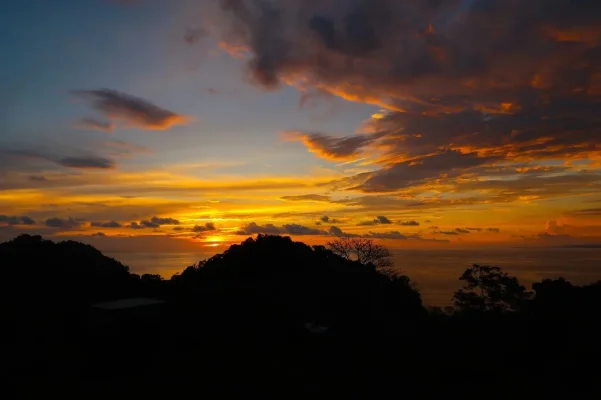 26756291_10155952878734471_3847686213216387354_o.webp 26756291_10155952878734471_3847686213216387354_o.webp