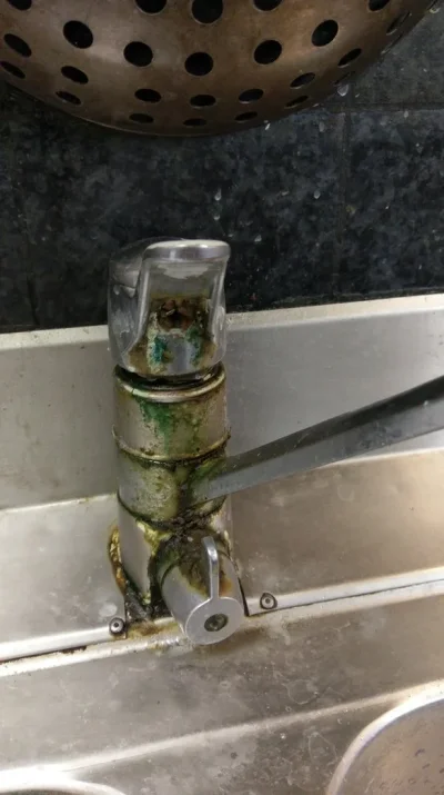 2017-01-12 14.00.20.webp