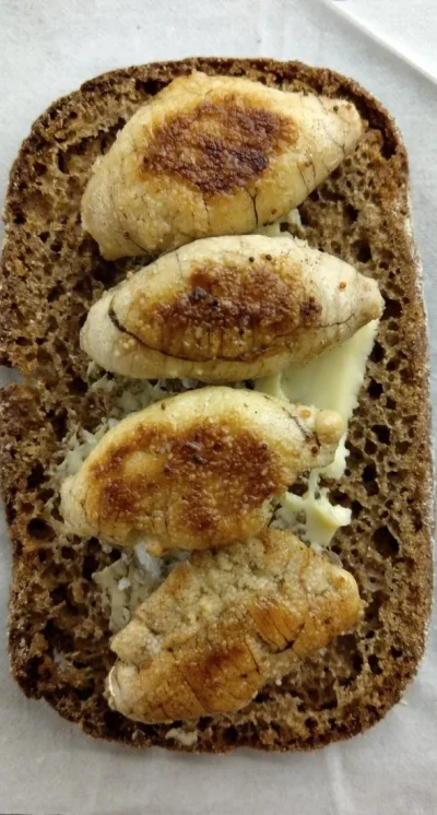 leipä.webp leipä.webp