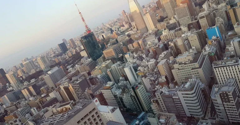 received_10156273686909695.webp received_10156273686909695.webp