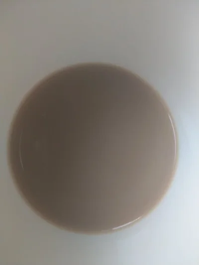 2018-04-25 14.47.02.webp