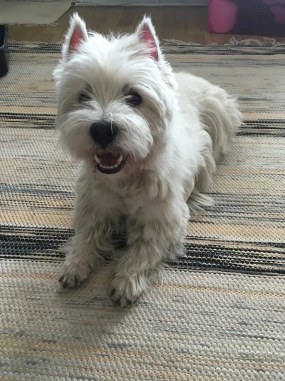 IMG_0330.webp IMG_0330.webp