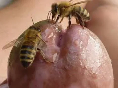 AB1D038F-8114-4919-AFB5-69E3B4F178A6.webp AB1D038F-8114-4919-AFB5-69E3B4F178A6.webp