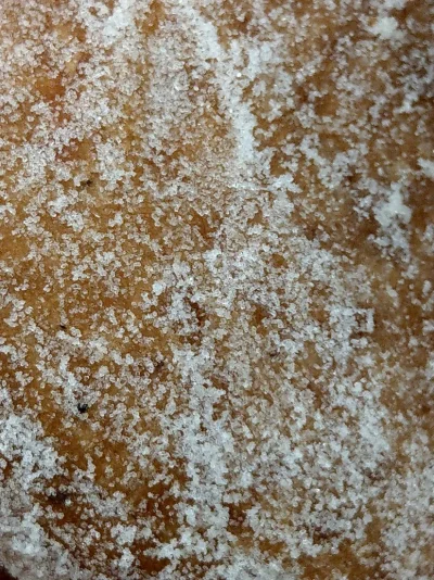 IMAG0444.webp IMAG0444.webp