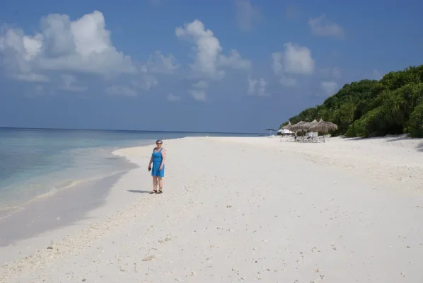 DSC06287.webp DSC06287.webp