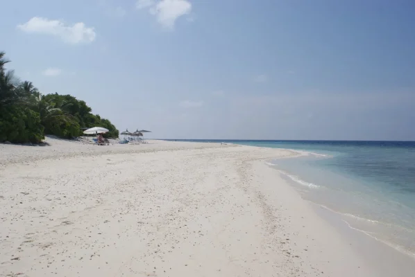 DSC06375.webp DSC06375.webp