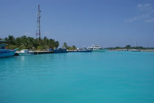 DSC06661.webp DSC06661.webp