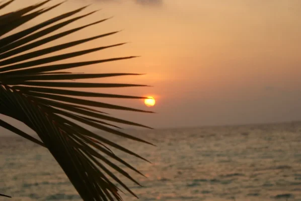 DSC06415.webp DSC06415.webp