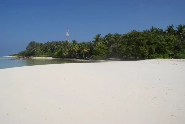 DSC06490.webp DSC06490.webp