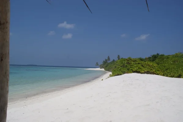 DSC06494.webp DSC06494.webp