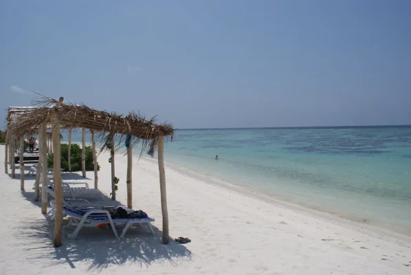 DSC06496.webp DSC06496.webp