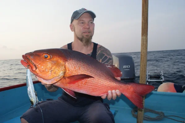 DSC06524.webp DSC06524.webp