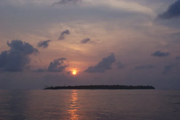 DSC06533.webp DSC06533.webp