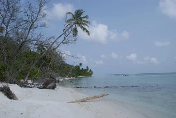 DSC06559.webp DSC06559.webp