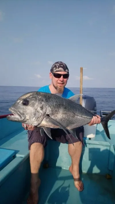 DSC_1542 (800x451) (2).webp DSC_1542 (800x451) (2).webp