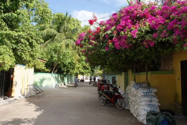 DSC06648.webp DSC06648.webp