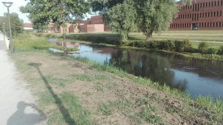 IMG_20180807_183904.webp IMG_20180807_183904.webp