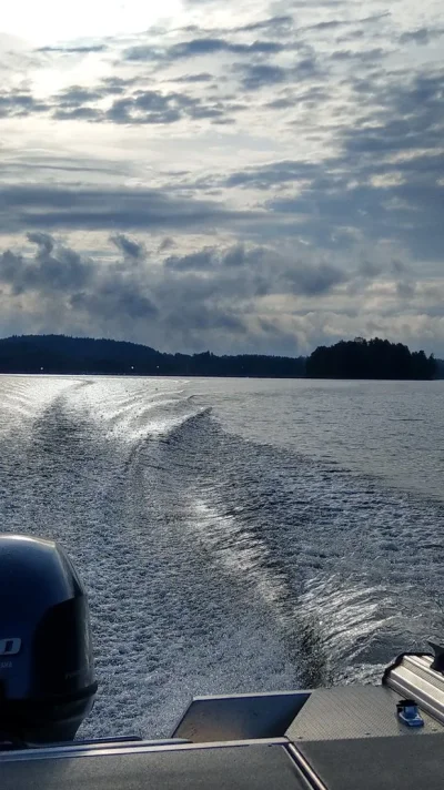 IMAG0848~2.webp IMAG0848~2.webp