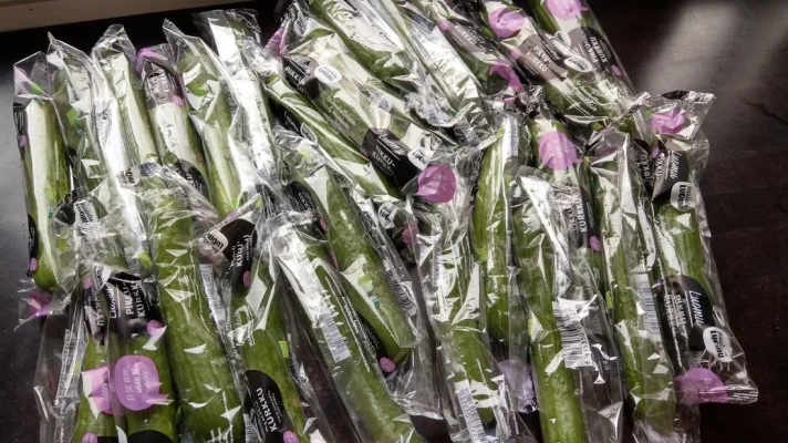 IMAG0882.webp IMAG0882.webp