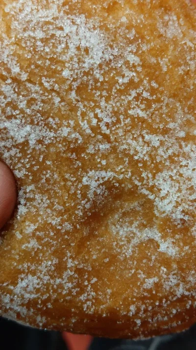 IMAG0913.webp IMAG0913.webp