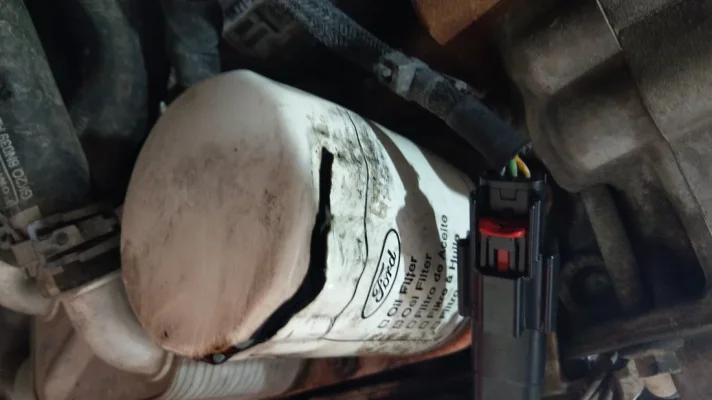 IMAG0927.webp IMAG0927.webp