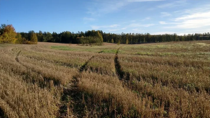 IMAG1028.webp IMAG1028.webp