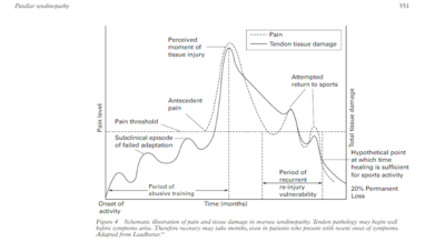 patellar.PNG