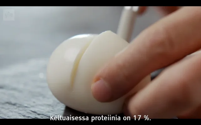 Screenshot (8).webp Screenshot (8).webp