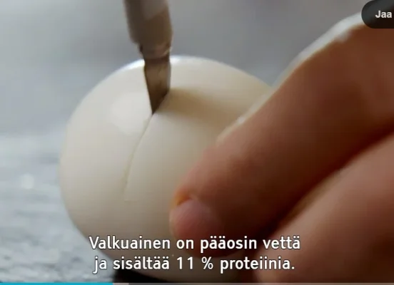 WhatsApp Image 2018-10-11 at 13.59.44.webp WhatsApp Image 2018-10-11 at 13.59.44.webp