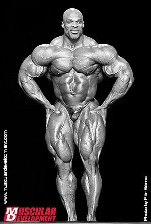 1f1d0f74e8c18b477f21c48780b8b2bd--hardcore-bodybuilding-fitness-bodybuilding.webp 1f1d0f74e8c18b477f21c48780b8b2bd--hardcore-bodybuilding-fitness-bodybuilding.webp