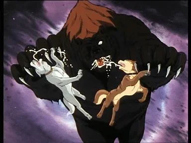 215446_original.webp 215446_original.webp