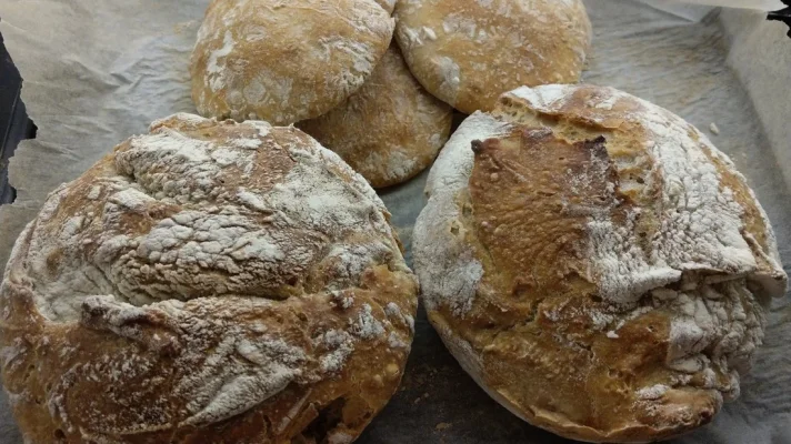 2019-04-01 21.29.22.webp