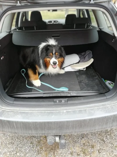 IMG_20190501_084110_1.webp IMG_20190501_084110_1.webp