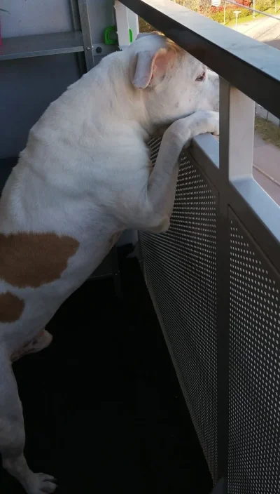 IMG_20190508_210515.webp IMG_20190508_210515.webp